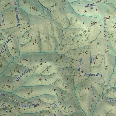 Second close-up of the map of Palermo, California print showing more streets and buildings