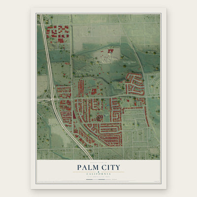 Palm City, California map print, the full design