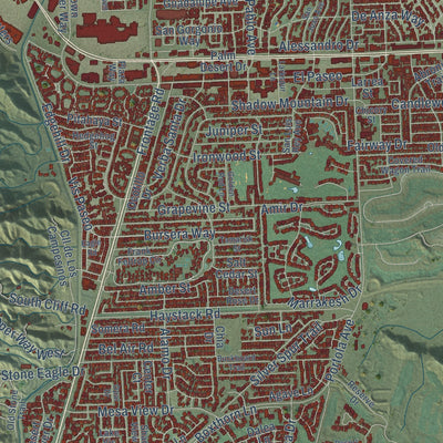 Close-up of the map of Palm Desert, California print showing street and building detail