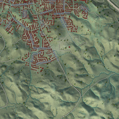 Second close-up of the map of Petaluma, California print showing more streets and buildings