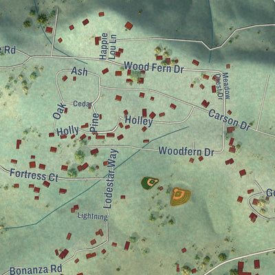 Close-up of the map of Pioneer, California print showing street and building detail