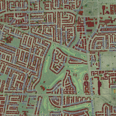 Close-up of the map of Placentia, California print showing street and building detail