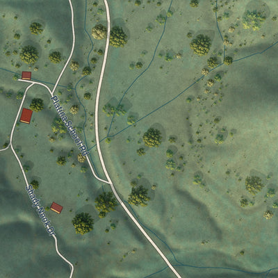 Close-up of the map of Platina, California print showing street and building detail