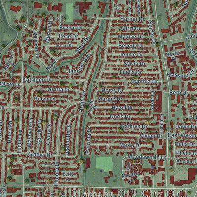 Close-up of the map of Pleasant Hill, California print showing street and building detail
