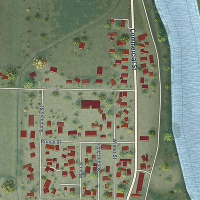 Close-up of the map of Princeton, California print showing street and building detail