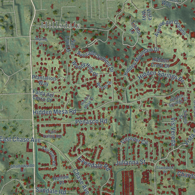 Close-up of the map of Rancho San Diego, California print showing street and building detail