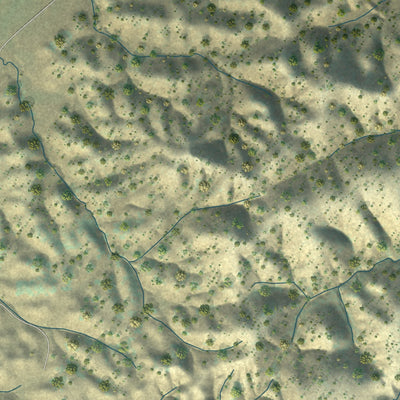Close-up of the map of Rancho Tehama Reserve, California print showing street and building detail