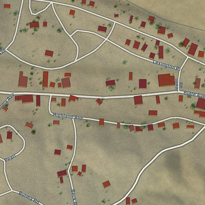 Close-up of the map of Randsburg, California print showing street and building detail