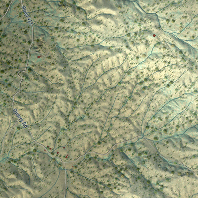 Close-up of the map of Raymond, California print showing street and building detail