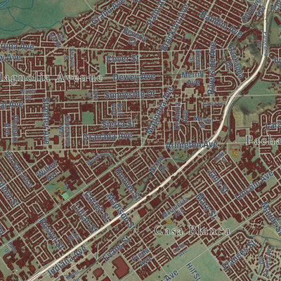 Close-up of the map of Riverside, California print showing street and building detail