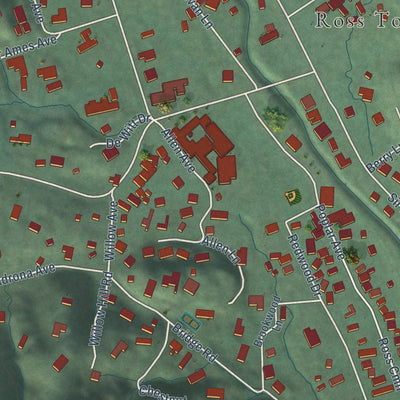 Second close-up of the map of Ross, California print showing more streets and buildings