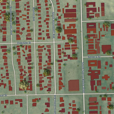 Close-up of the map of San Pasqual, California print showing street and building detail