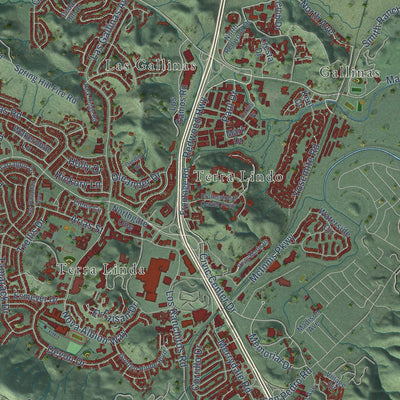 Second close-up of the map of San Rafael, California print showing more streets and buildings