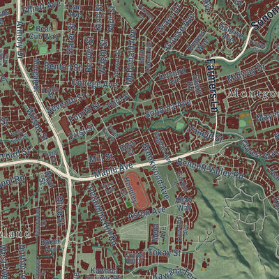 Second close-up of the map of Santa Rosa, California print showing more streets and buildings