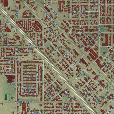 Close-up of the map of Selma, California print showing street and building detail