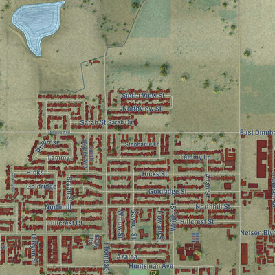 Second close-up of the map of Selma, California print showing more streets and buildings