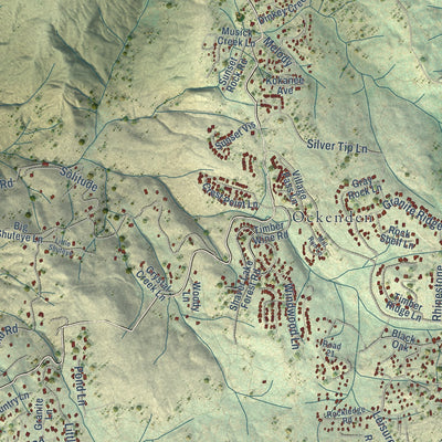 Close-up of the map of Shaver Lake, California print showing street and building detail