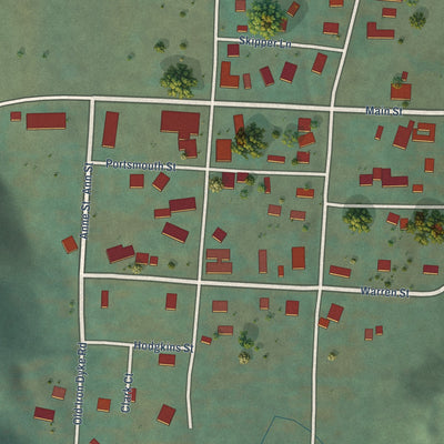 Close-up of the map of Taylorsville, California print showing street and building detail