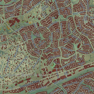 Close-up of the map of Temecula, California print showing street and building detail