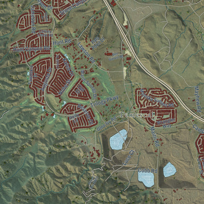 Close-up of the map of Temescal Valley, California print showing street and building detail