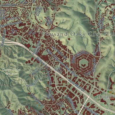 Close-up of the map of Thousand Oaks, California print showing street and building detail