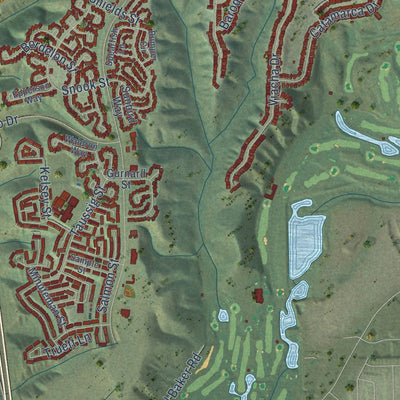 Second close-up of the map of Tierrasanta, California print showing more streets and buildings