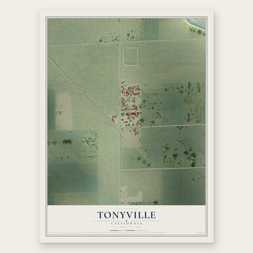 Tonyville, California map print, the full design