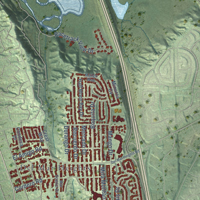 Close-up of the map of Torrey Pines, California print showing street and building detail