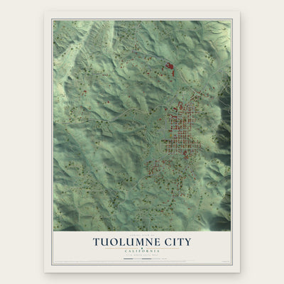 Tuolumne City, California map print, the full design
