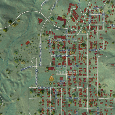 Close-up of the map of Tuolumne City, California print showing street and building detail