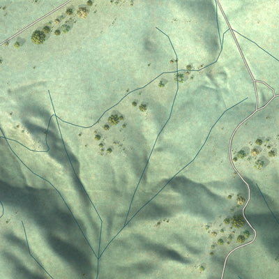 Close-up of the map of Volcano, California print showing street and building detail