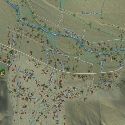 Close-up of the map of Walker, California print showing street and building detail