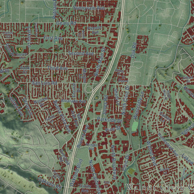 Second close-up of the map of Walnut Creek, California print showing more streets and buildings