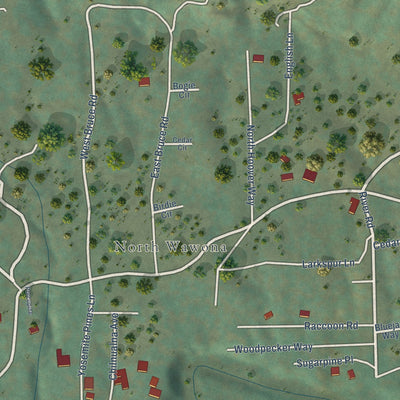 Close-up of the map of Wawona, California print showing street and building detail