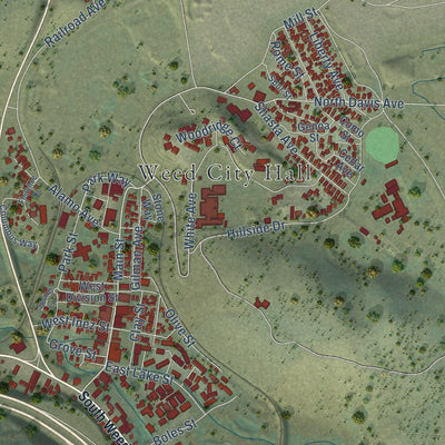Second close-up of the map of Weed, California print showing more streets and buildings
