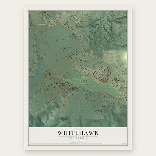Whitehawk, California map print, the full design