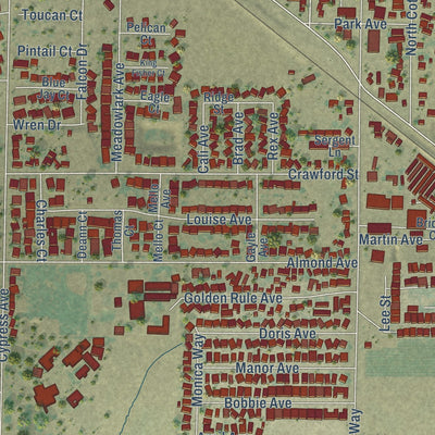 Close-up of the map of Winton, California print showing street and building detail