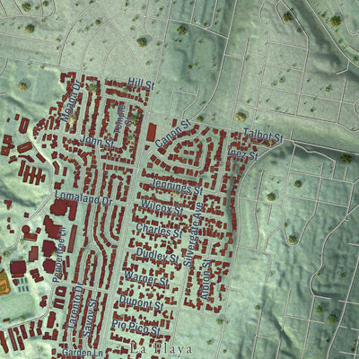 Close-up of the map of Wooded Area, California print showing street and building detail