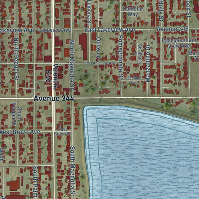 Close-up of the map of Woodlake, California print showing street and building detail