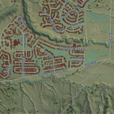 Close-up of the map of Battlement Mesa, Colorado print showing street and building detail