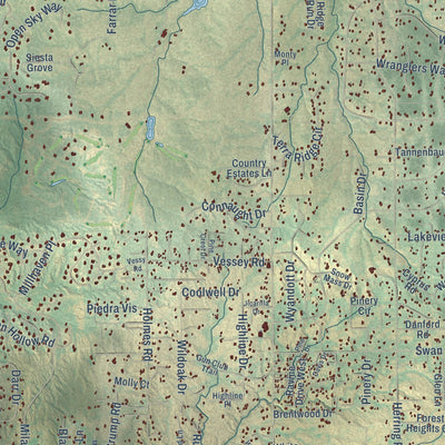 Close-up of the map of Black Forest, Colorado print showing street and building detail