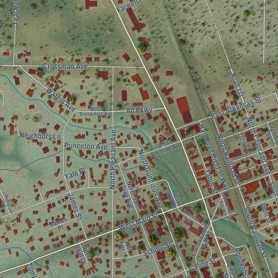 Close-up of the map of Buena Vista, Colorado print showing street and building detail