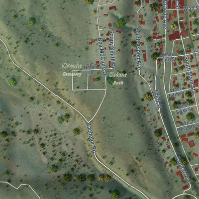 Close-up of the map of the City of Creede, Colorado print showing street and building detail
