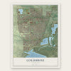 Columbine, Colorado map print, the full design