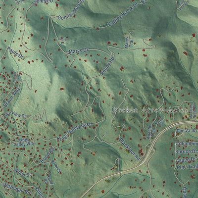 Close-up of the map of Conifer, Colorado print showing street and building detail