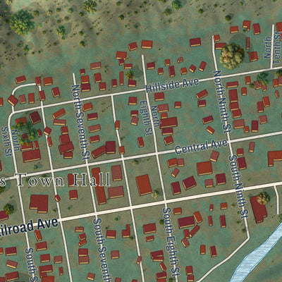 Close-up of the map of Dolores, Colorado print showing street and building detail