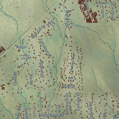 Close-up of the map of Falcon, Colorado print showing street and building detail