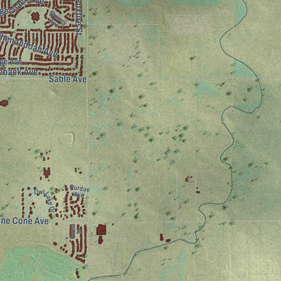 Second close-up of the map of Firestone, Colorado print showing more streets and buildings