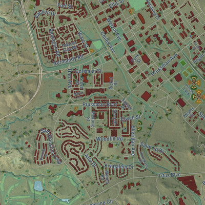 Close-up of the map of Fort Carson, Colorado print showing street and building detail