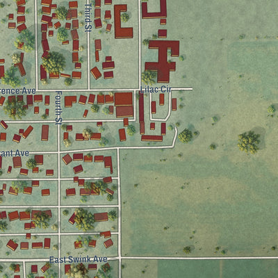 Second close-up of the map of Fowler, Colorado print showing more streets and buildings